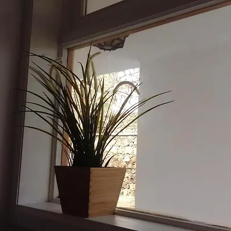 Apartment Charming In + Pool *