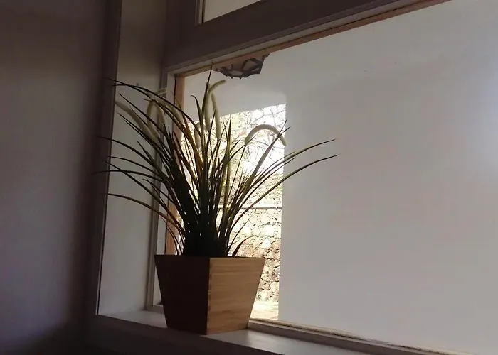 Lägenhet Charming In + Pool *